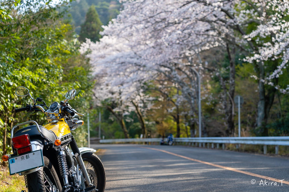 バイクは楽し!! YAMAHA SR400 -50- 🌸_f0152550_20254395.jpg