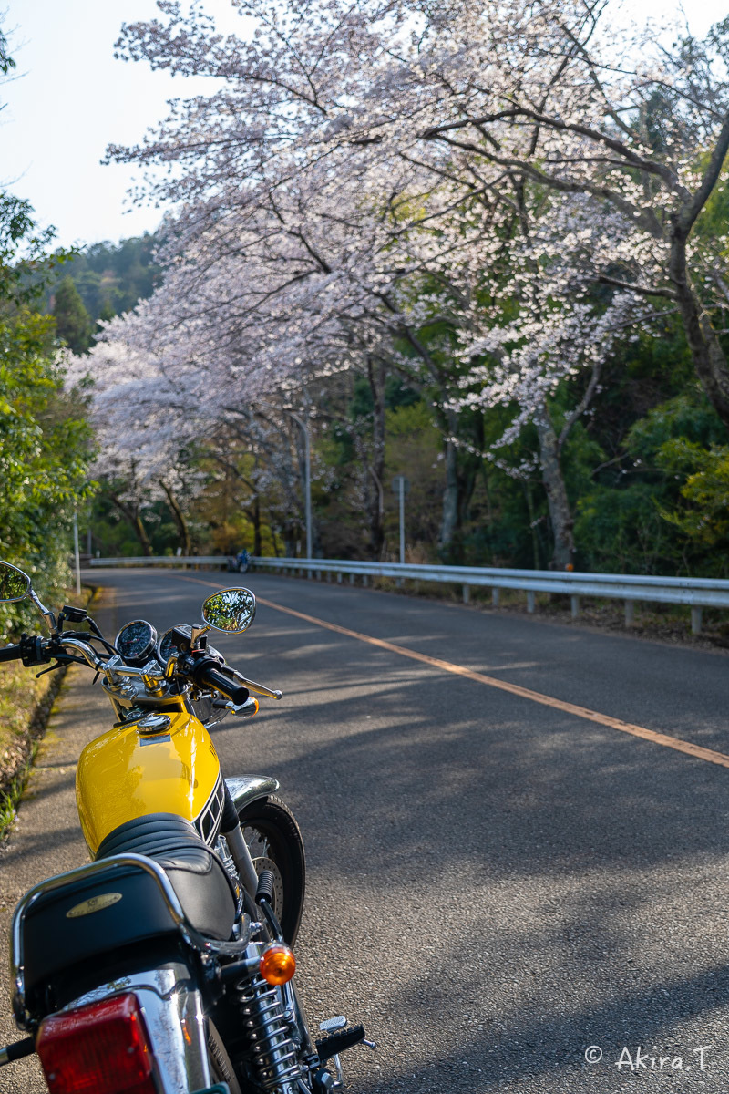 バイクは楽し!! YAMAHA SR400 -50- 🌸_f0152550_20255381.jpg