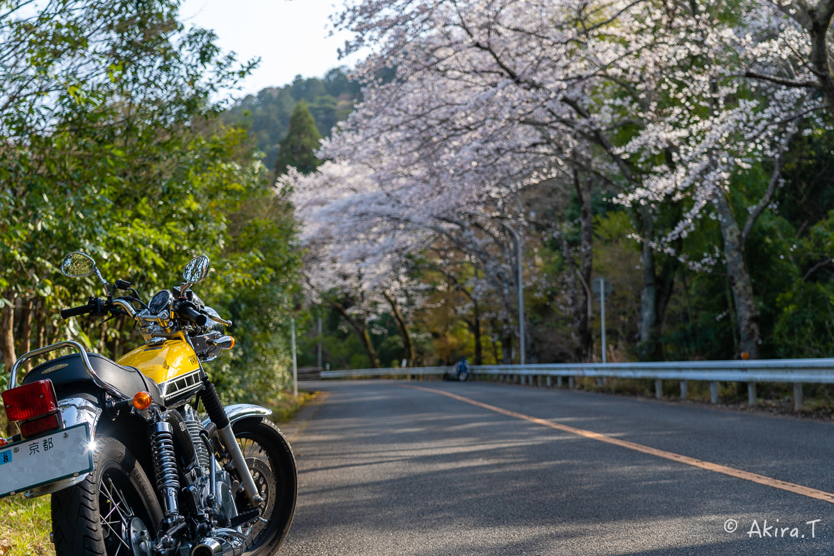 バイクは楽し!! YAMAHA SR400 -50- 🌸_f0152550_20260367.jpg