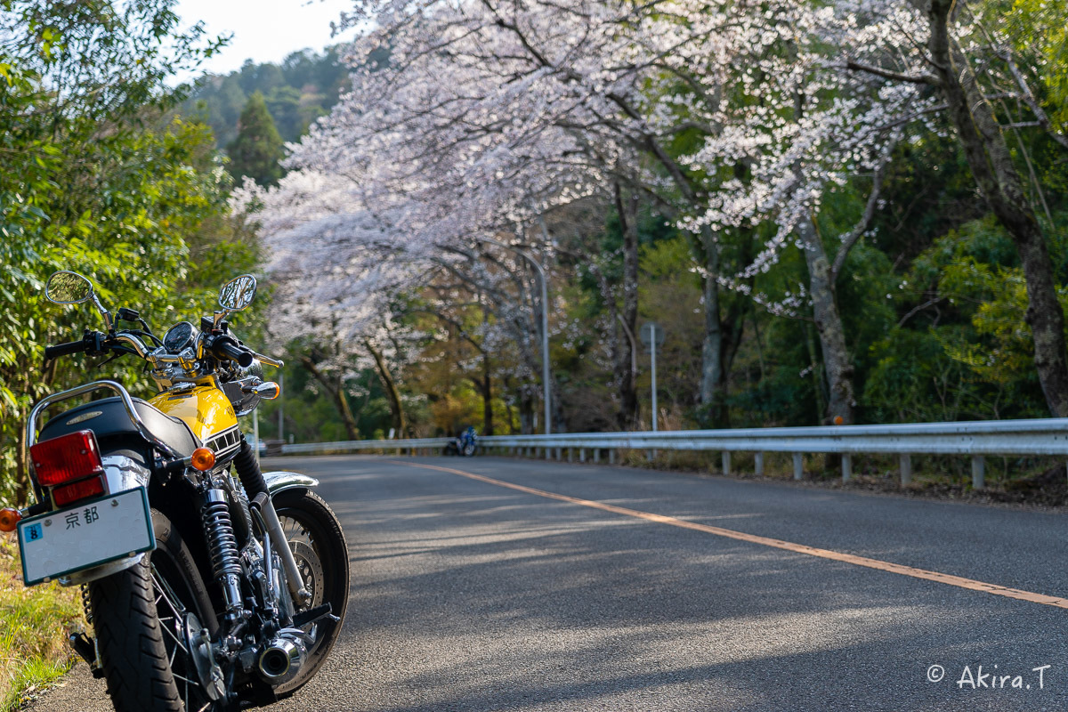 バイクは楽し!! YAMAHA SR400 -50- 🌸_f0152550_20261188.jpg