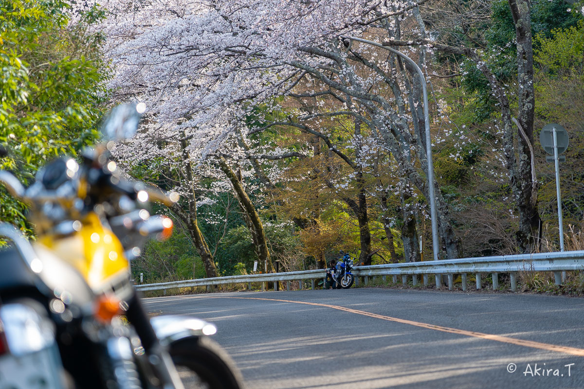 バイクは楽し!! YAMAHA SR400 -50- 🌸_f0152550_20261973.jpg