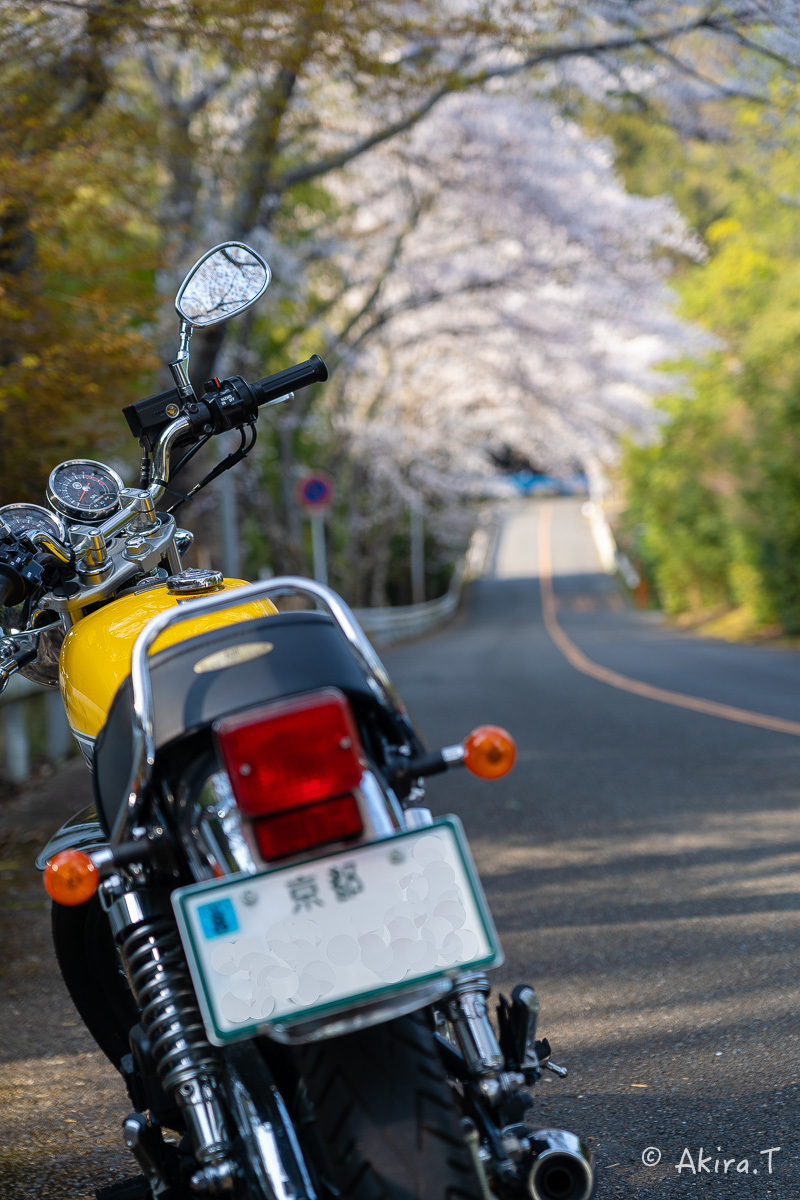 バイクは楽し!! YAMAHA SR400 -50- 🌸_f0152550_20262744.jpg