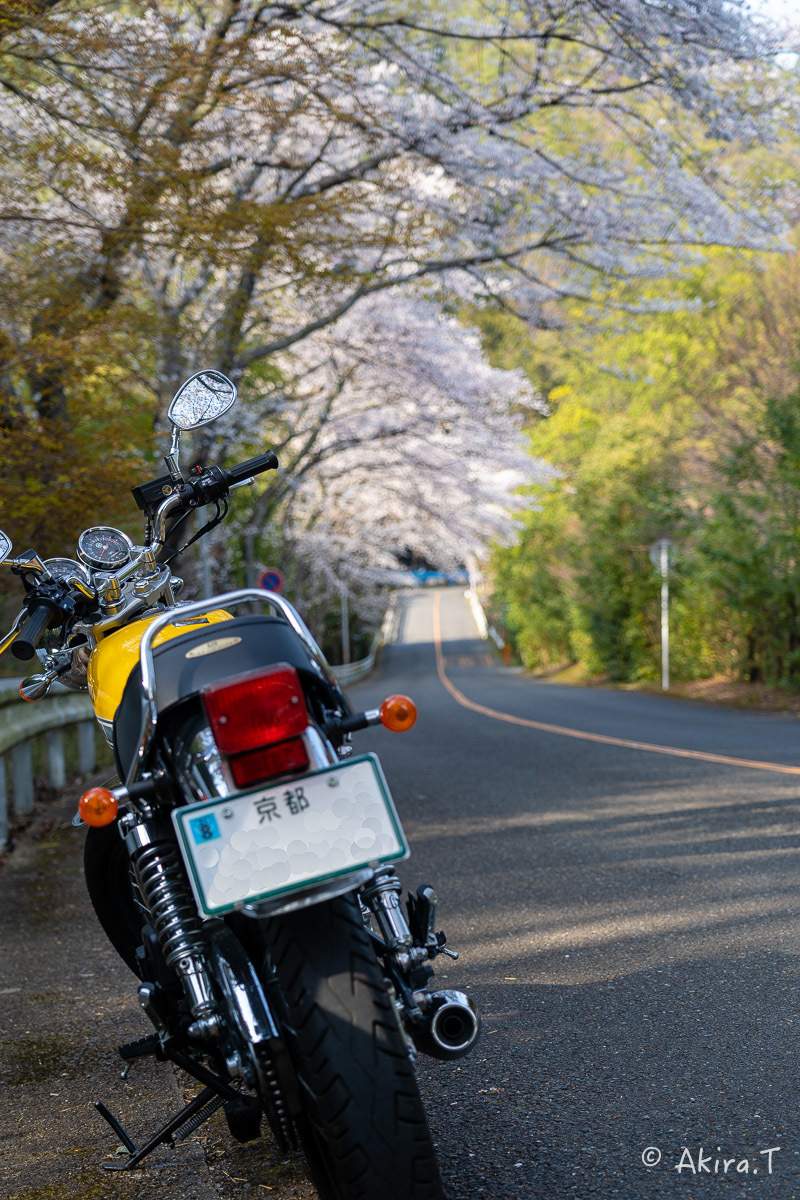 バイクは楽し!! YAMAHA SR400 -50- 🌸_f0152550_20273459.jpg