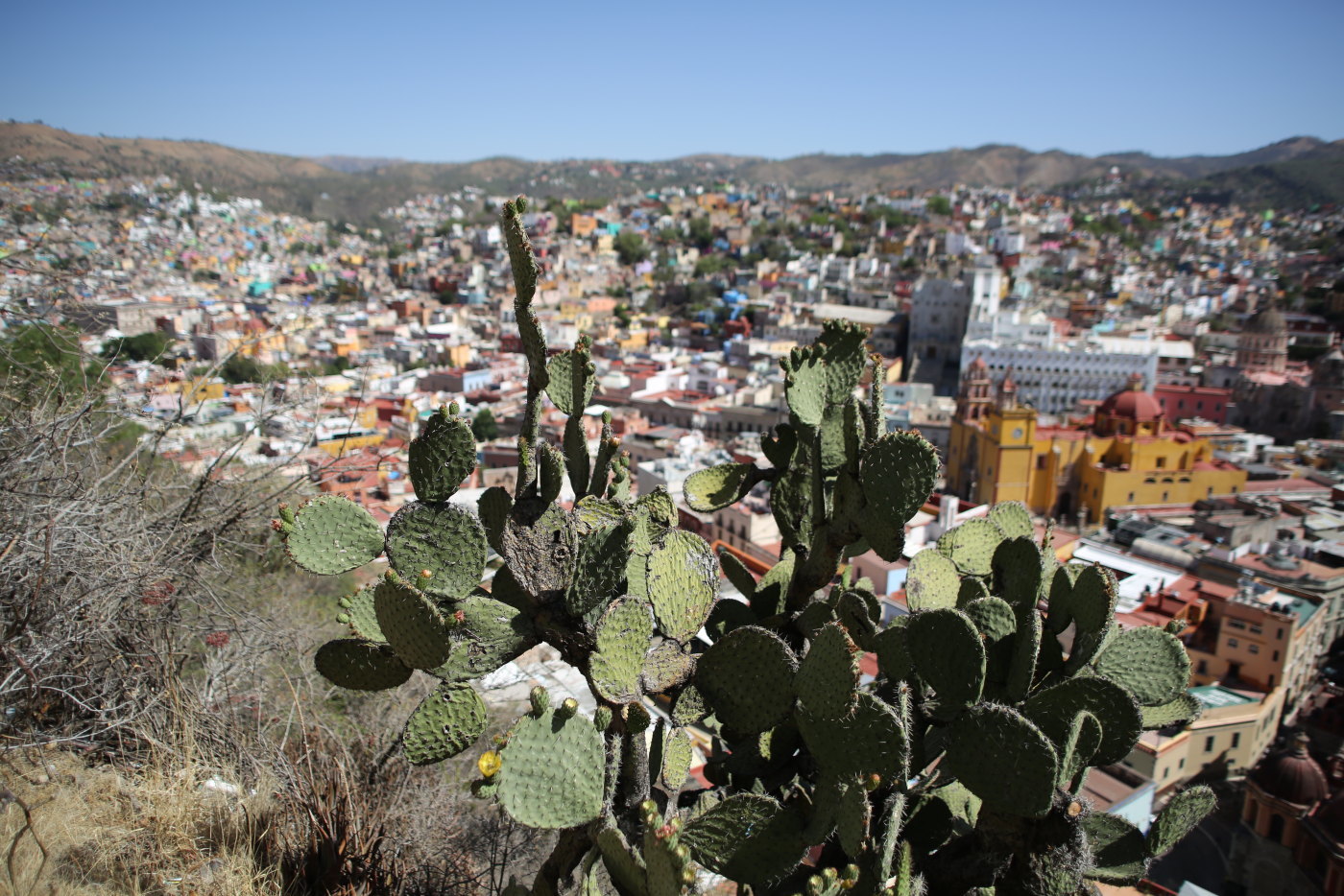 f0345350_12451570.jpg