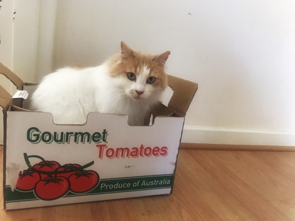 f0304452_11523020.jpeg