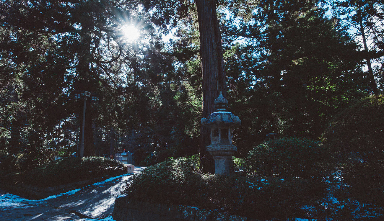 ［一七東北］DAY 2-3 大崎八幡宮_e0198253_13292751.jpg