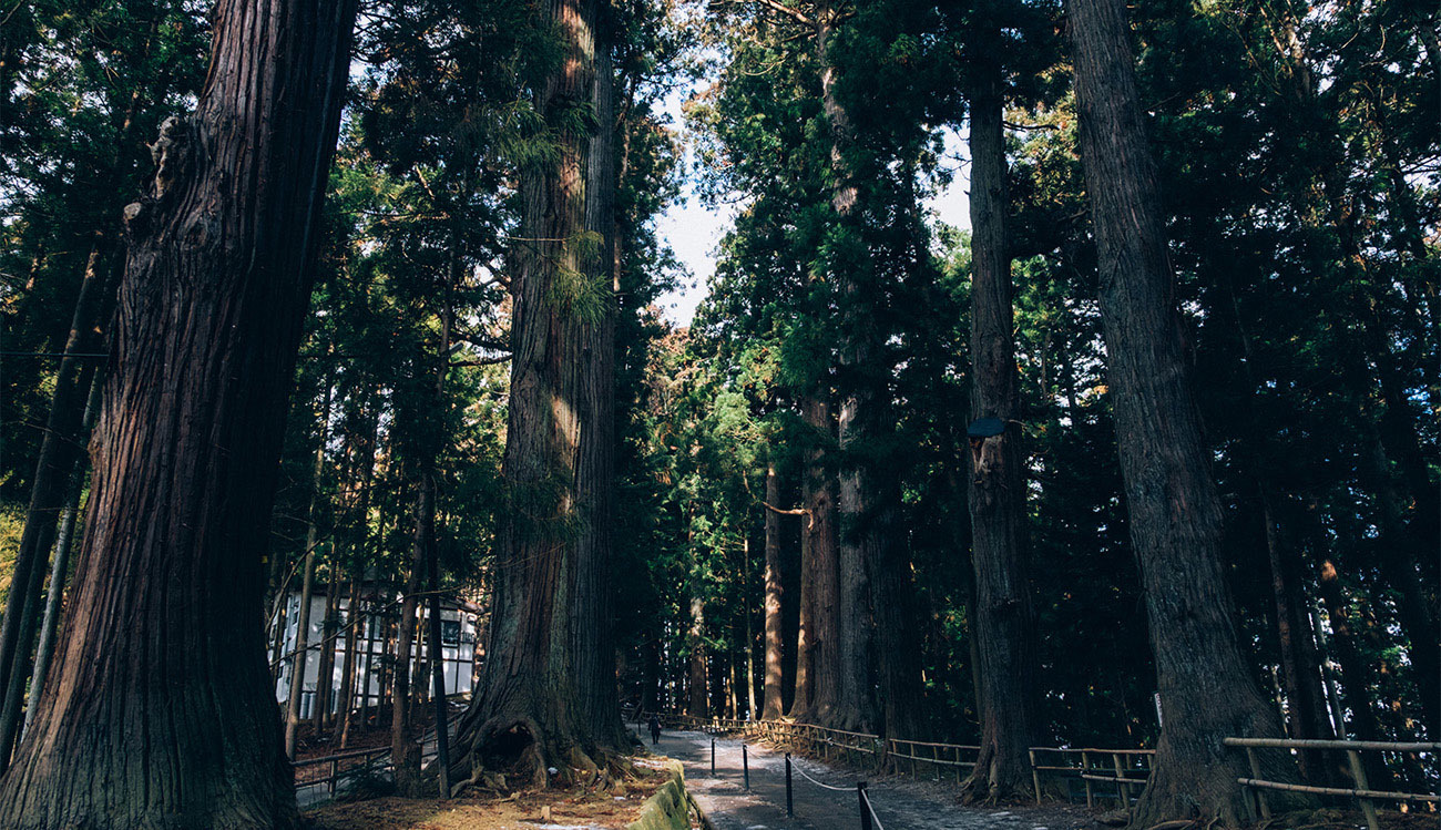 ［一七東北］DAY 4-1 中尊寺 -前篇-_e0198253_21394044.jpg