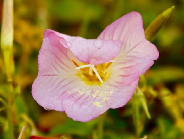 a0248459_13545698.jpg