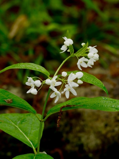 a0248459_13580018.jpg