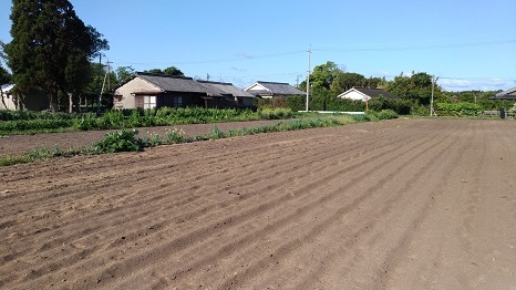 f0186462_01112621.jpg