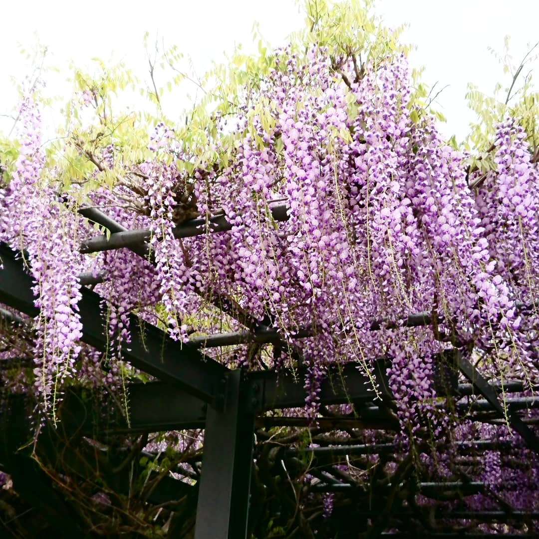 c0100865_07184114.jpg