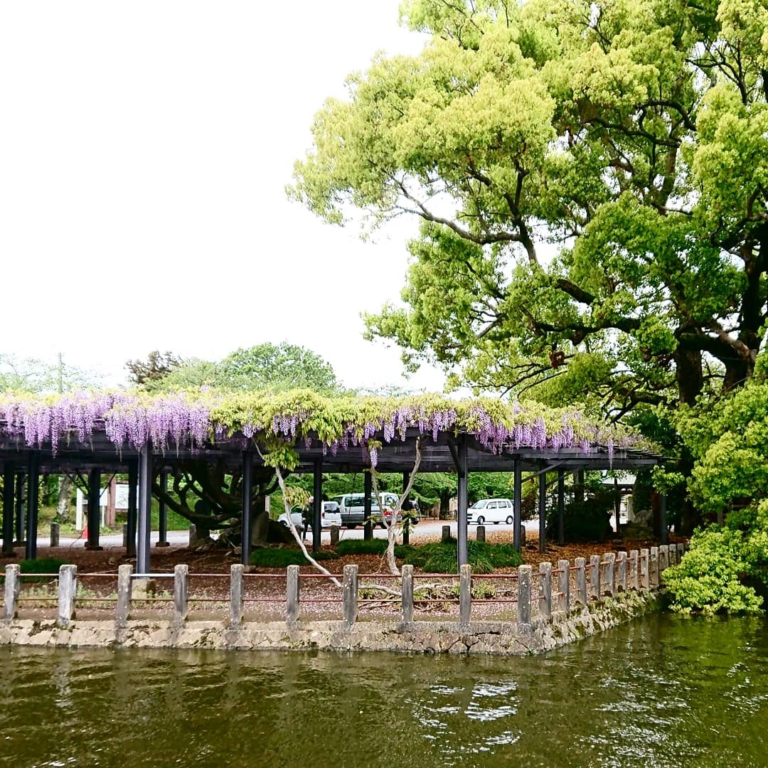 c0100865_07190100.jpg