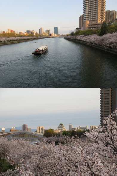 平成最後の桜_c0150269_23143090.jpg