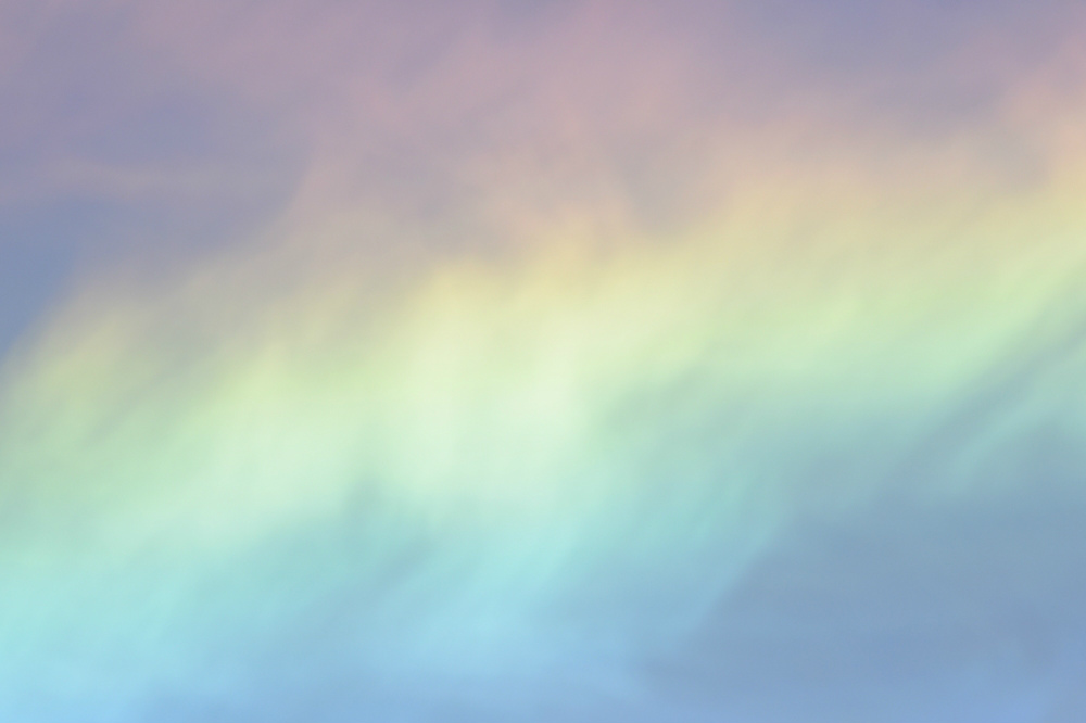 こんなに近くで...サンショウクイ 長〜い彩雲_f0053272_23435621.jpg