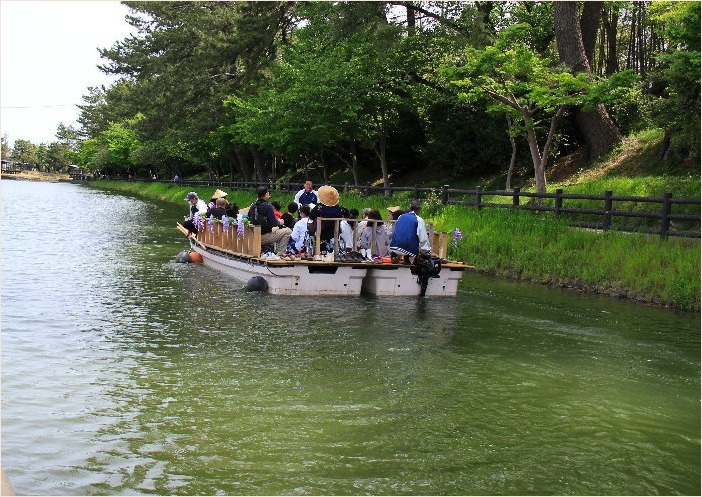 ☆　津島の藤まつり　☆_f0181173_22211403.jpg