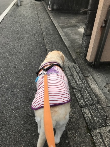 f0315081_17324707.jpeg