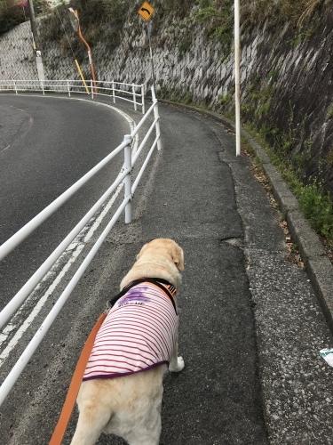 f0315081_17332863.jpeg