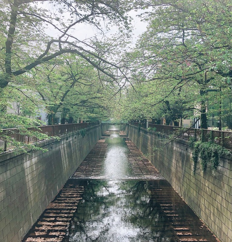 平成最後の月イチ東京旅_f0248782_14403679.jpg