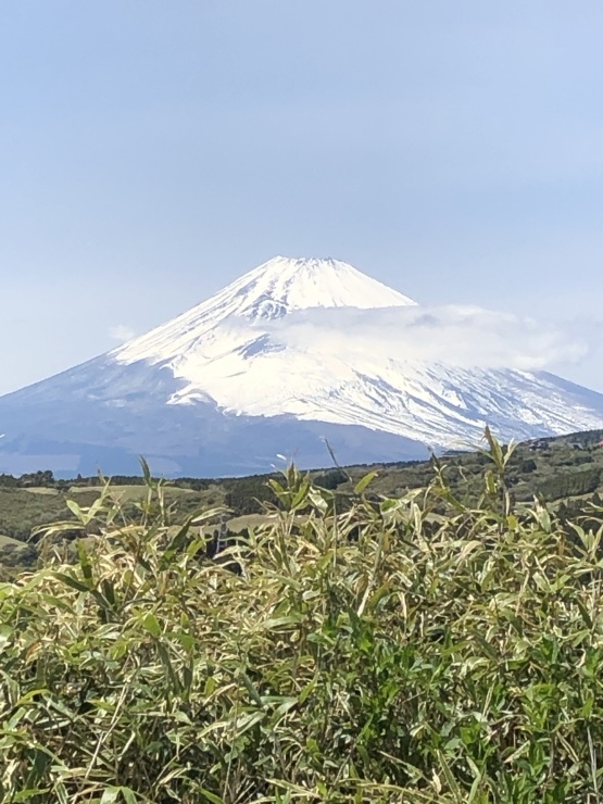 2019年4月28日 頭の中わさわさ_b0098584_18471701.jpeg