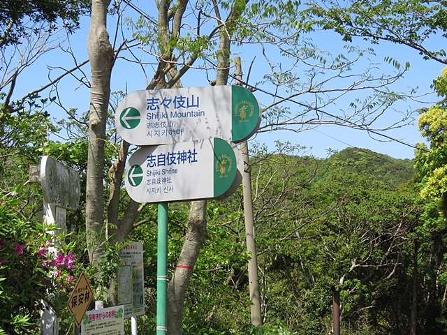 f0357487_21000299.jpg