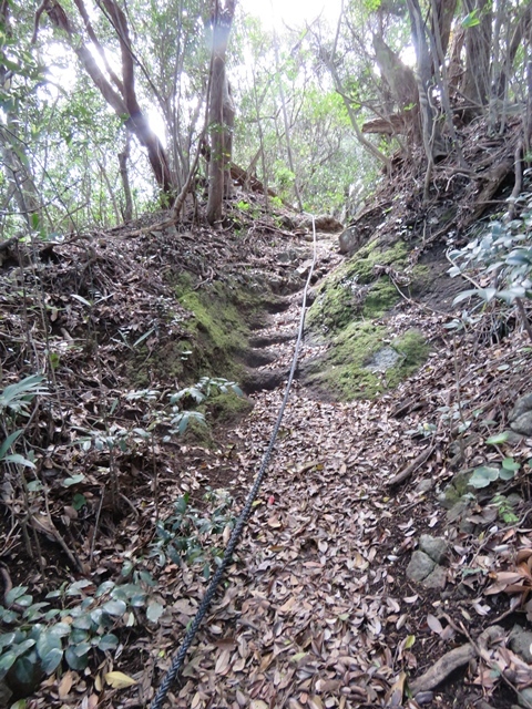 f0357487_21251695.jpg