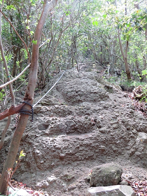 f0357487_21255902.jpg