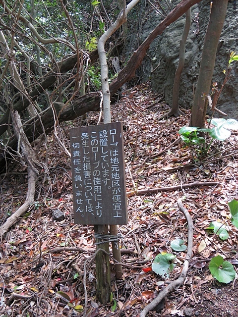 f0357487_21263435.jpg