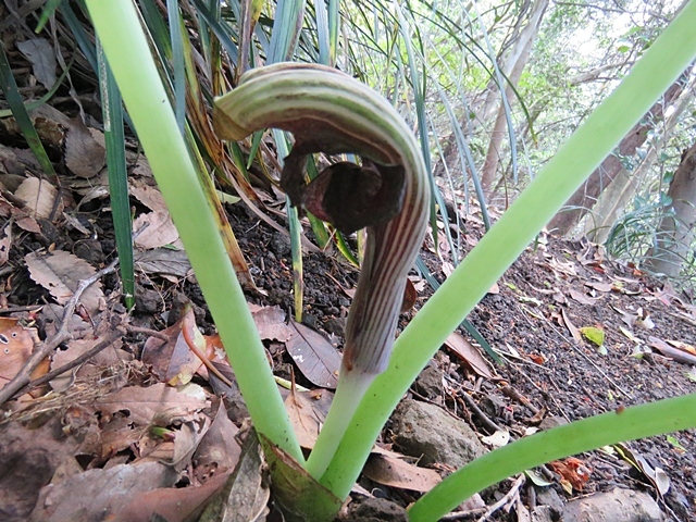 f0357487_21310679.jpg