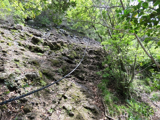 f0357487_21360593.jpg