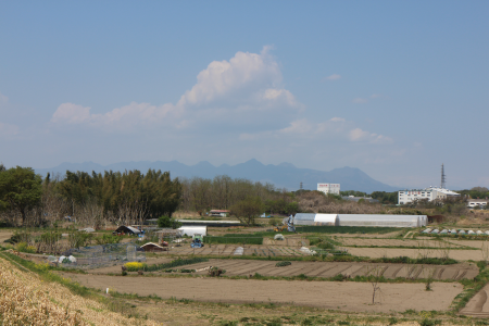 b0223592_22221859.png