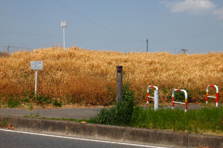 b0223592_23094353.png