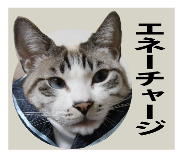 サボり_a0333195_14110704.png