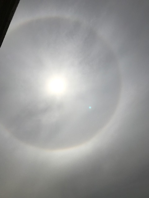 お日様と畑と_f0204295_14041730.jpg