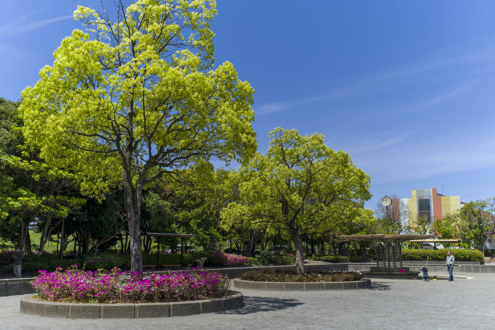 c0313898_13004520.jpg