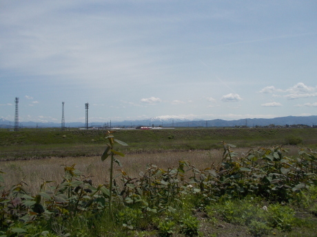 これも普賢象?_a0203003_17012165.jpg