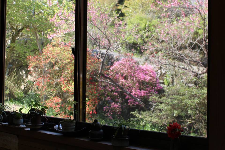 c0178009_16472470.jpg