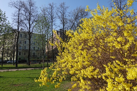 a0151913_8201559.jpg