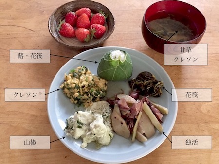 春の山菜ごはん色々 世話要らずの庭 春の山菜ごはん色々 世話要らずの庭