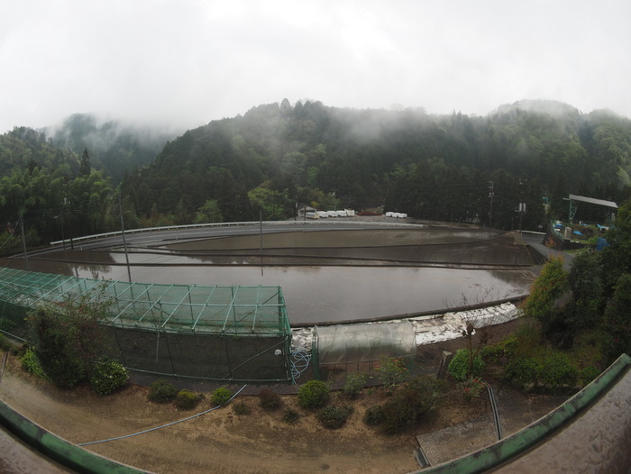 雨の一日_c0116915_23410514.jpg