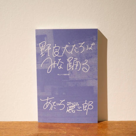 キューバ旅行記『野良犬たちはみな踊る』出版記念パーティー_a0156417_11350664.jpeg