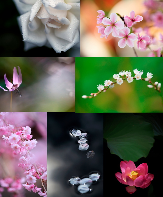 写真展GW後半のお知らせ_e0169421_22120637.jpg