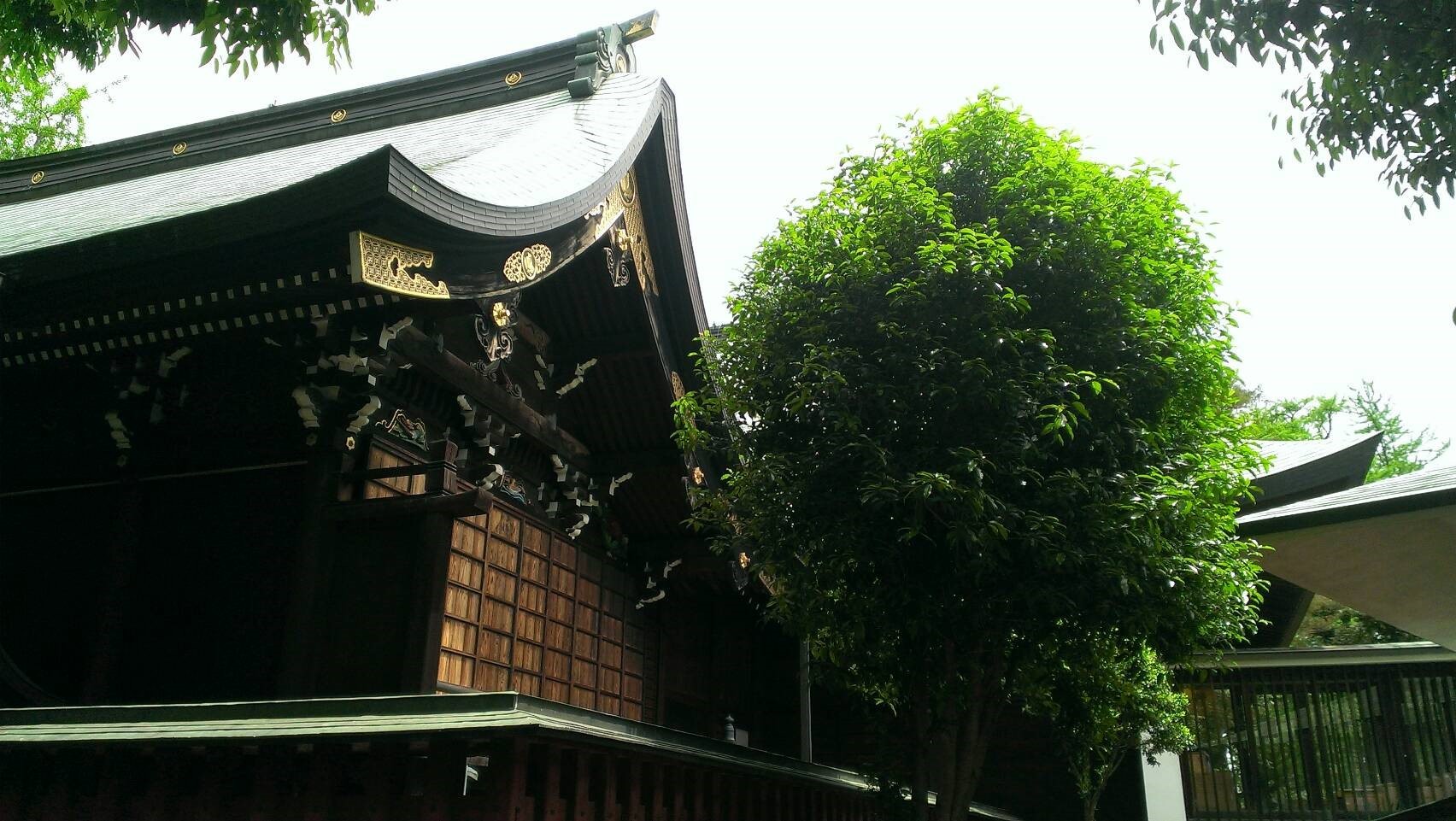 c0157625_22283708.jpeg