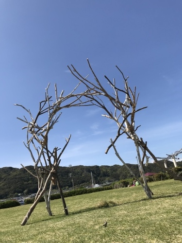 f0309325_17502840.jpeg