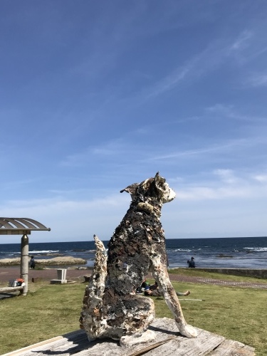 f0309325_17503706.jpeg