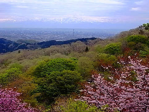c0098228_22551828.jpg