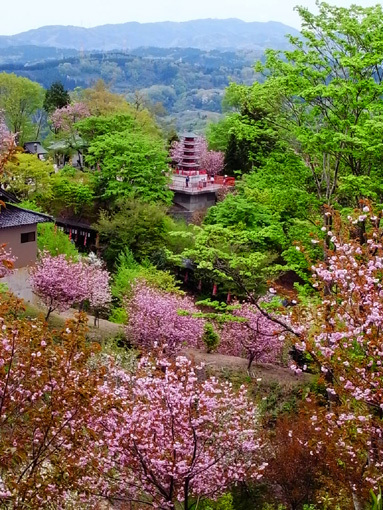 c0098228_22561218.jpg