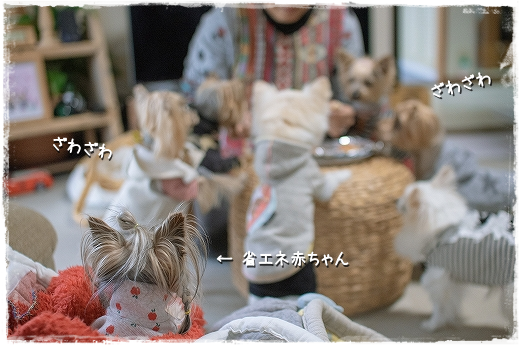 d0179828_12101843.png