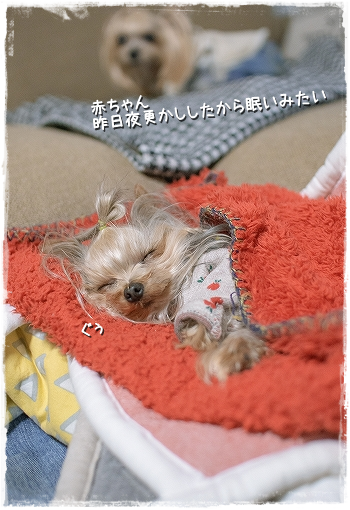 d0179828_12302613.png