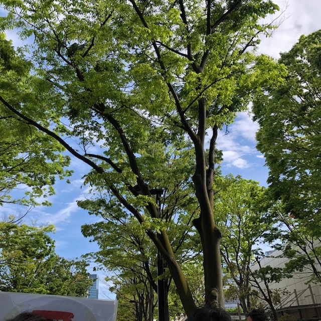 TOKYO RAINBOW PRIDE 2019_f0332332_07063117.jpg