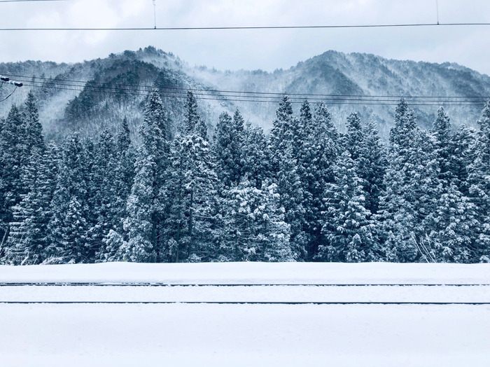 つばさ139号（東京→かみのやま温泉） / iPhone 8_c0334533_21595168.jpg
